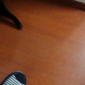 猫も態度で訴える。の画像