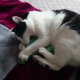 一瞬です(^^ゞの画像