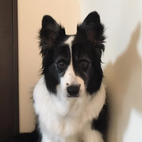 楽しい〜〜の画像