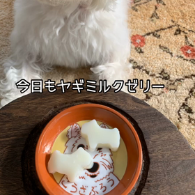 ヤギミルクゼリーの画像