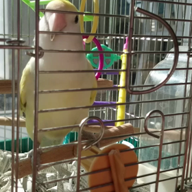 出たーーい！！の画像