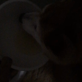 夜中の2時過ぎ、、、の画像