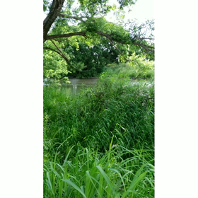 ニューノーマル！の画像