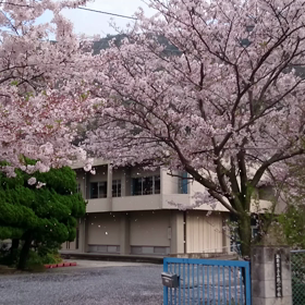 風のいたずらの画像