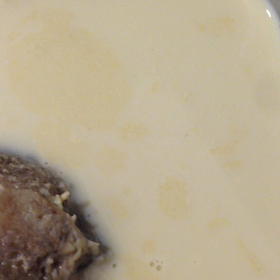 自家製豆乳ヨーグルト。ついに！の画像