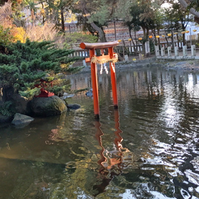 昨日、過去一番大きなUFOを見ましたの画像