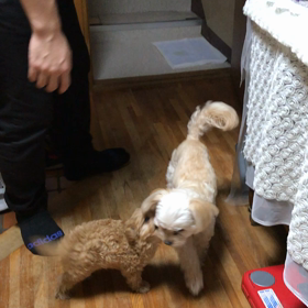 階段を駆け上がるの画像