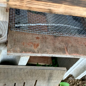 イチロー巣箱解体　中断の画像