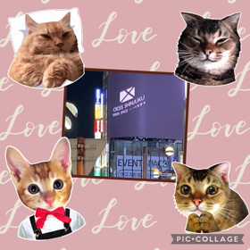 ３月もおわり。。の画像