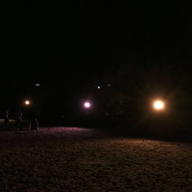 天橋立ライトアップの画像