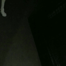 やられたっ(ーー;)の画像