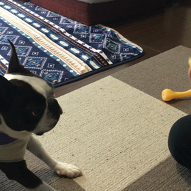 上手にできましたぁ(*ˊᵕˋ* )の画像