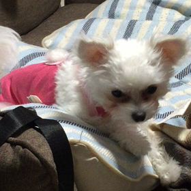 経過観察二日目②の画像