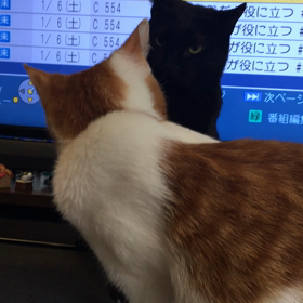 そこではやめて(＞人＜;)の画像