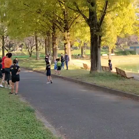 11/3　ミニ駅伝⑧の画像