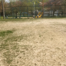 兄弟でかけっこの画像