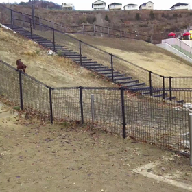 動画の貼り付け方わかった～の画像