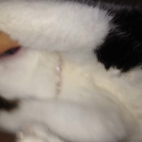 深夜の決闘の画像