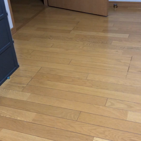 コロナの時期だけ頑張っても…毎日頑張るデール！の画像