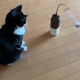 しばかれるの画像