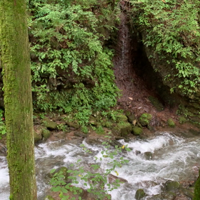 癒しになるといいなの画像