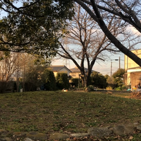 ワイヤーの散歩の画像