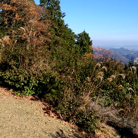 中継地から400m下界　瀬戸内を見渡すの画像