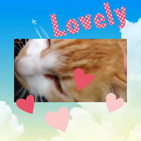 朝から癒やされましたの画像