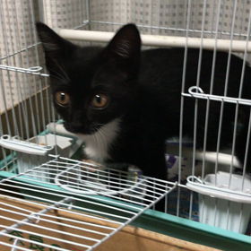 ピーちゃんちに家庭訪問^^;の画像