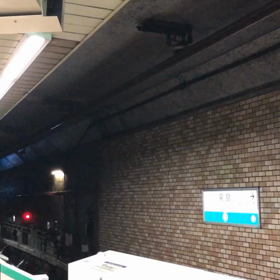 Shima散歩TOKYO湯島駅から上野恩賜公園とアメ横散歩ver.7帰路ですの画像