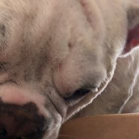 窓をどうする？の画像