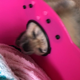 飽きないの画像