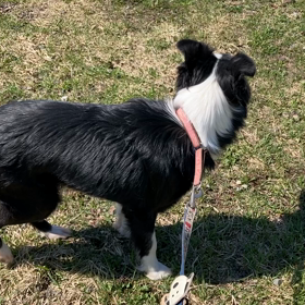 出先で動画の画像