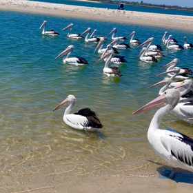 ちょっと休憩の画像