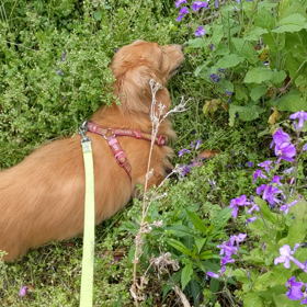 またやらかしましたよの画像