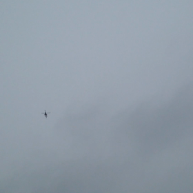 東京マラソンか始まったようでの画像