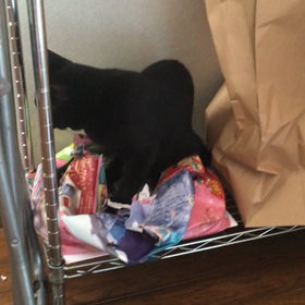 ビリビリの画像