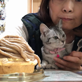 麗ちゃん❣️スイーツ狙う❣️の画像