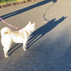 今日はいい天気❤️❤️❤️の画像