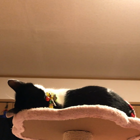 党首、遊ぶって誘ったくせに…の画像