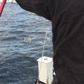 アメブロでも動画がの画像