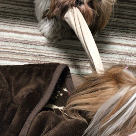 ひっぱりっこ！の画像