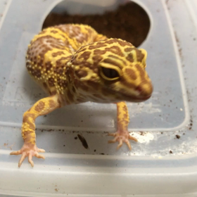 偏食が、、、！？！？の画像