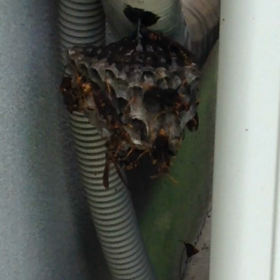 怖かった（≧∇≦）の画像