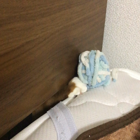 にゃーんの画像