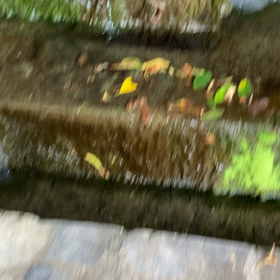 エイリアンって言われちゃたよ〜カニのお食事の画像