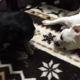 全身で表現の画像