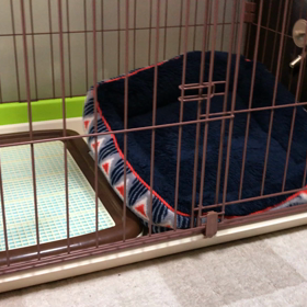 最初に覚えたのは？の画像