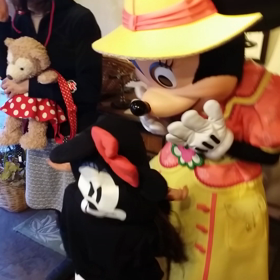 杏初動画の画像