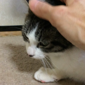 超ビビリの紅葉くん週末には面会ですの画像